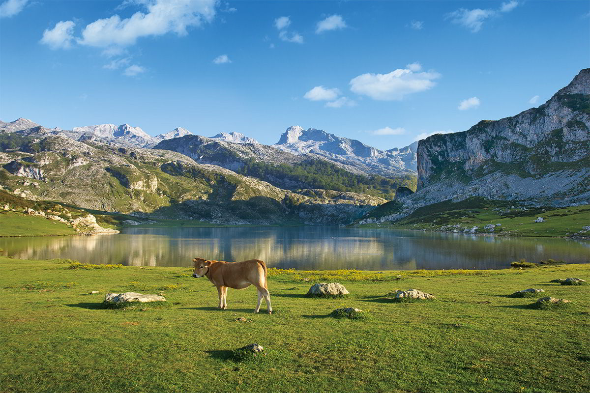 Lagos de Covadonga